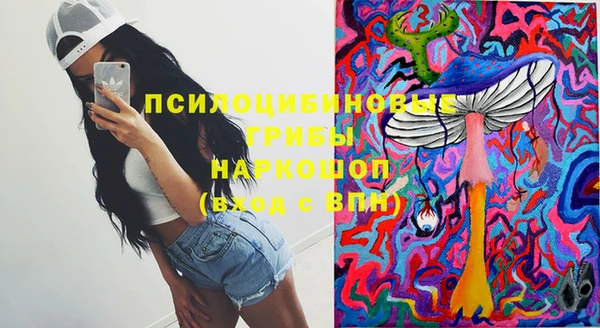 дурь Новозыбков