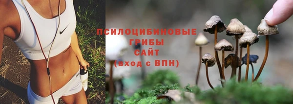 дживик Белокуриха
