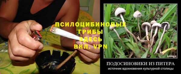 гашик Богородск