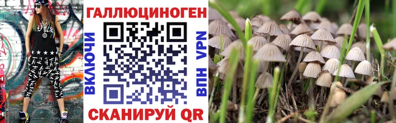Псилоцибиновые грибы прущие грибы  Балахна 